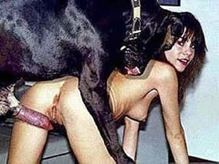 Dutch amateur dog sex orgy with big black dog